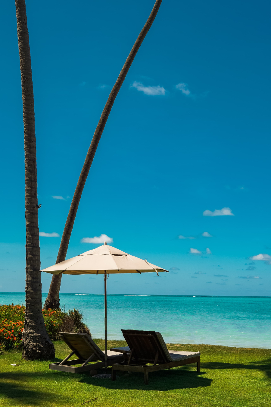 Quando viajar deixa de ser destino e vira experiência